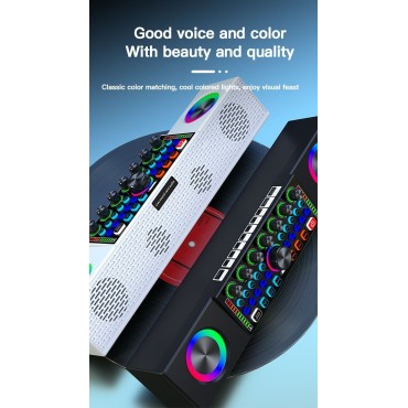 KARAOKE Rgb Multifunzione Mixer Audio Bluetooth Altoparlante 2Microfoni Wireless