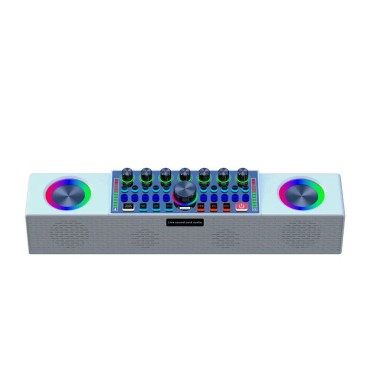 KARAOKE Rgb Multifunzione Mixer Audio Bluetooth Altoparlante 2Microfoni Wireless